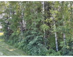 Se-12-49-8- W5m (lot 2), Rural Brazeau County, AB T0E1Z0 Photo 12