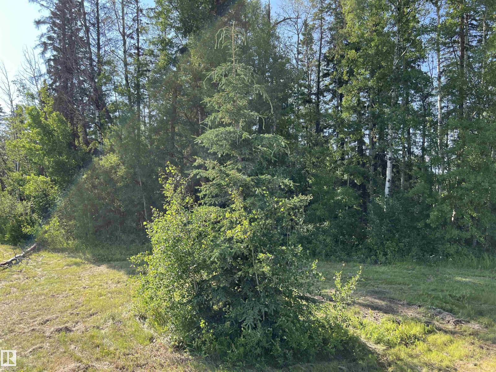 SE 12-49-8- W5M (Lot 2) - Photo 10