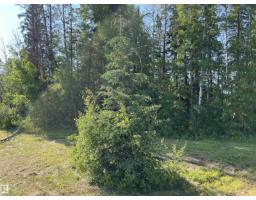 Se-12-49-8- W5m (lot 2), Rural Brazeau County, AB T0E1Z0 Photo 10