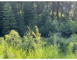 Se-12-49-8- W5m (lot 2), Rural Brazeau County, AB T0E1Z0 Photo 9