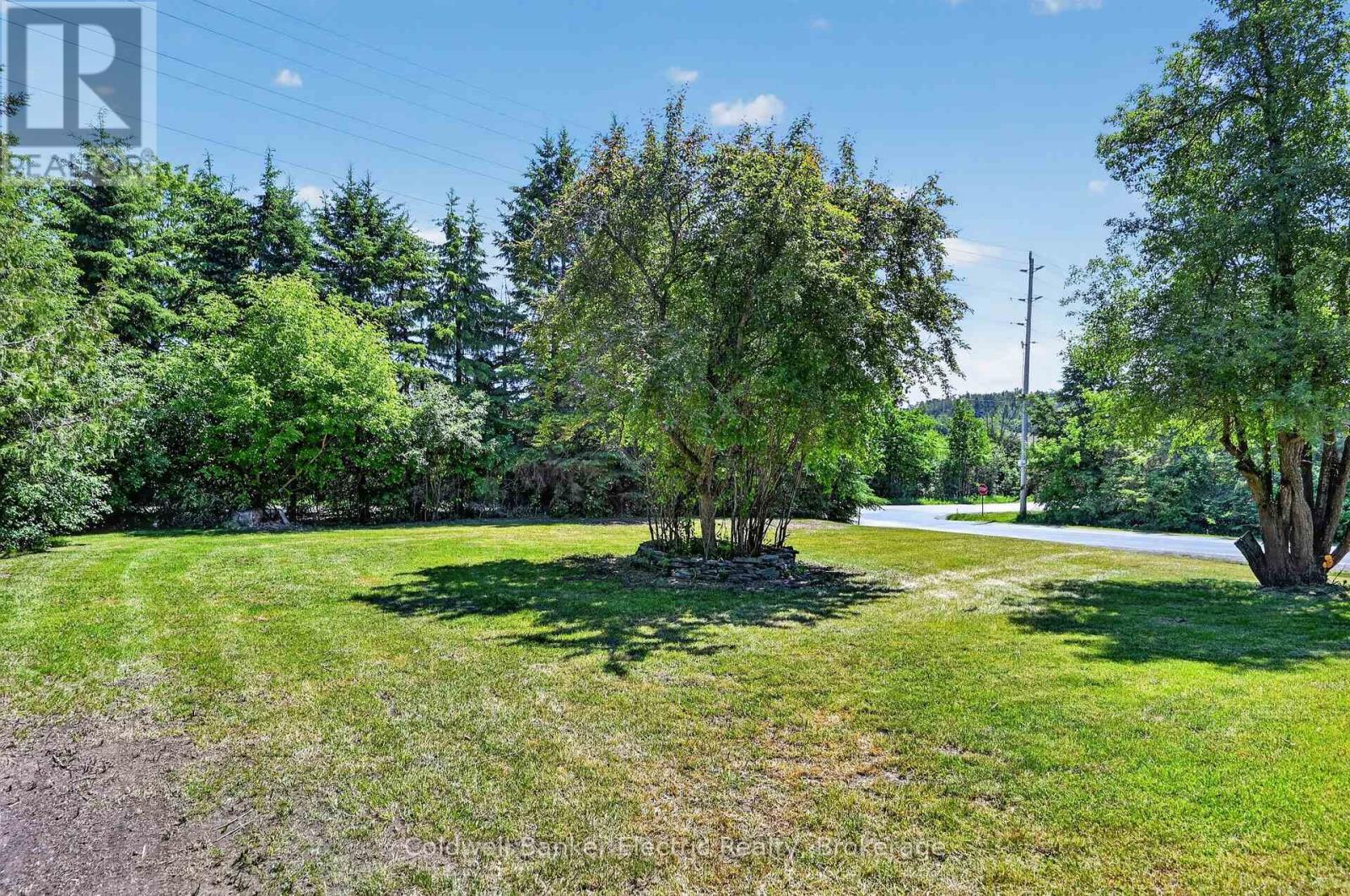 197 PATRICIA CRESCENT - 19