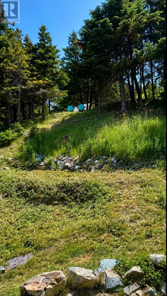 90 Salmon Cove Road - 3