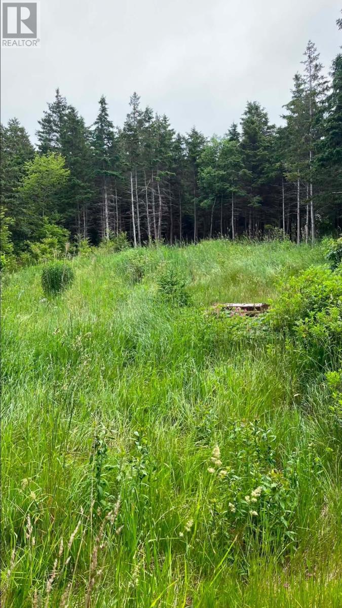90 Salmon Cove Road - 4