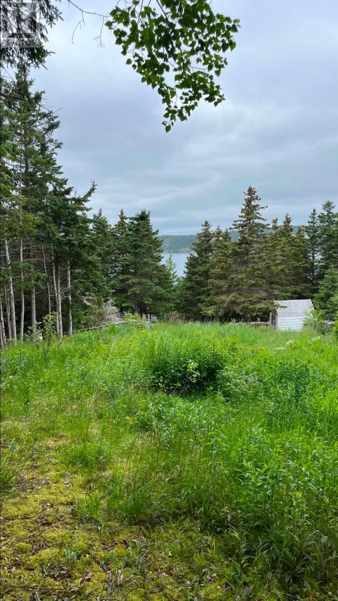90 Salmon Cove Road - 5