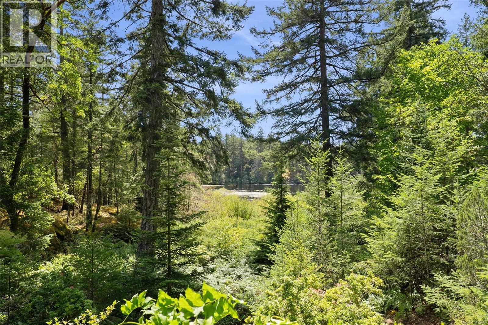 649 Lost Lake Rd - 27