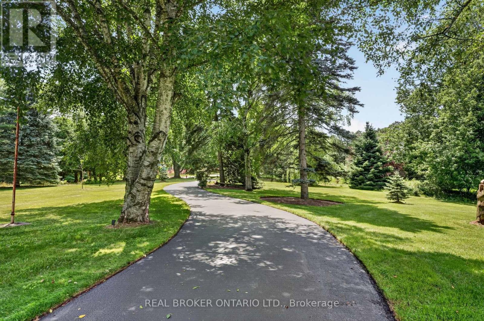 345 JERSEYVILLE ROAD W - 8