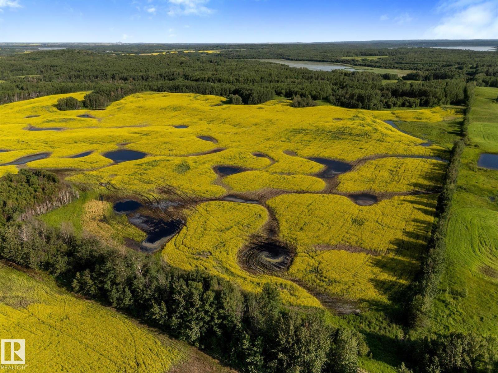RGE RD 12 TWP RD 562 - Photo 10