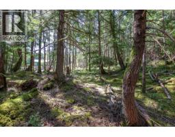 8400 Owl Cres, Denman Island, BC V0R1T0 Photo 36