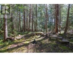 8400 Owl Cres, Denman Island, BC V0R1T0 Photo 37