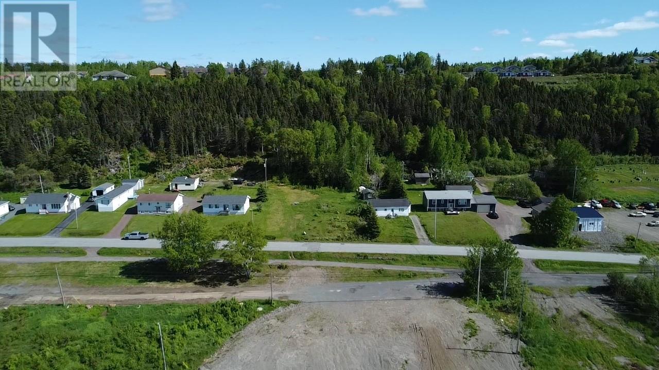 187 Citizens Drive, Norris Arm — photo 3