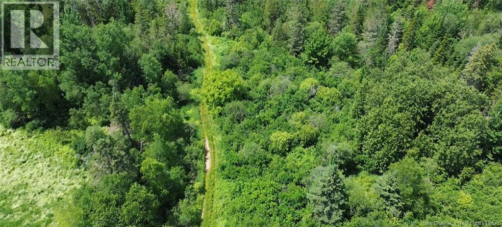 114.9 Acres Little River Drive, Bathurst — photo 3