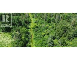 114.9 Acres Little River Drive, photo 3