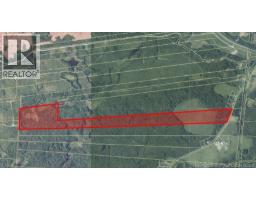 114.9 Acres Little River Drive, photo 4