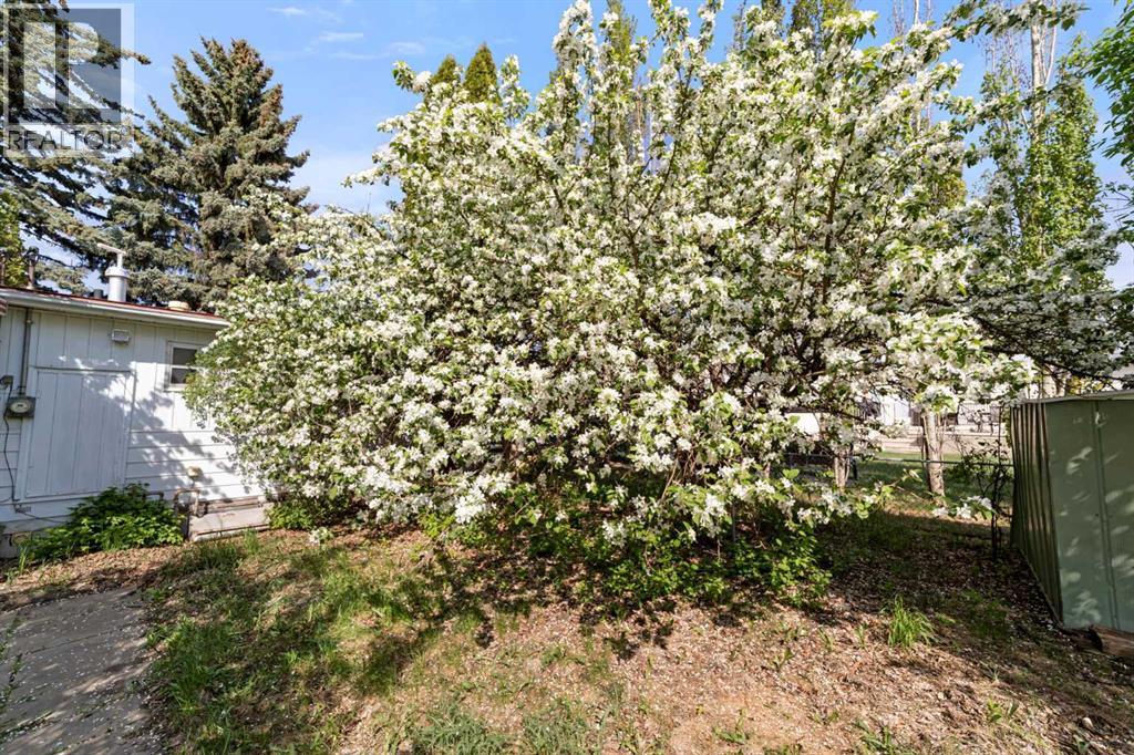 4911 54 Avenue - 5