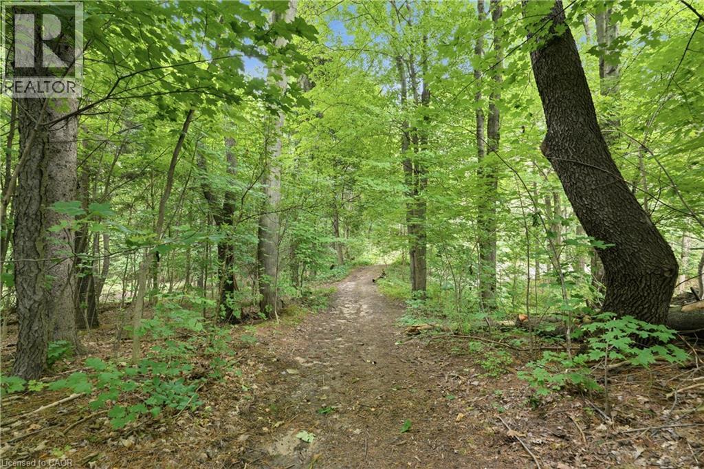 461 TICE Road - 45