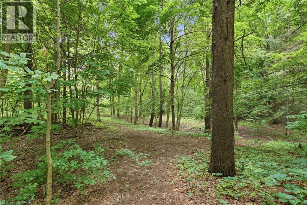 461 TICE Road - 46