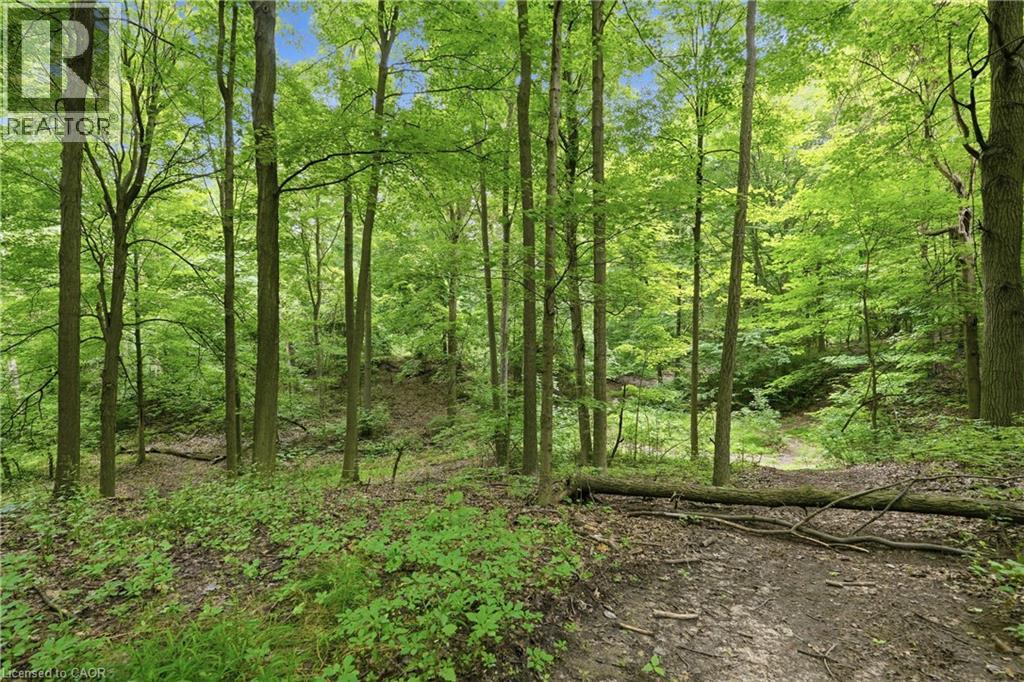 461 TICE Road - 47