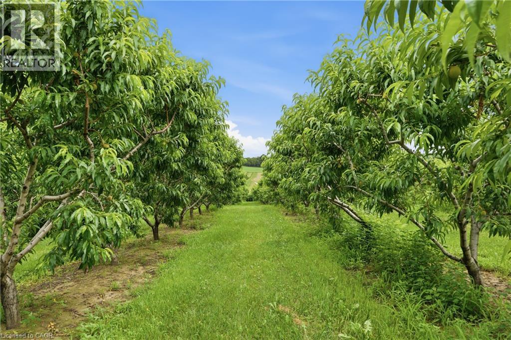461 TICE Road - 44