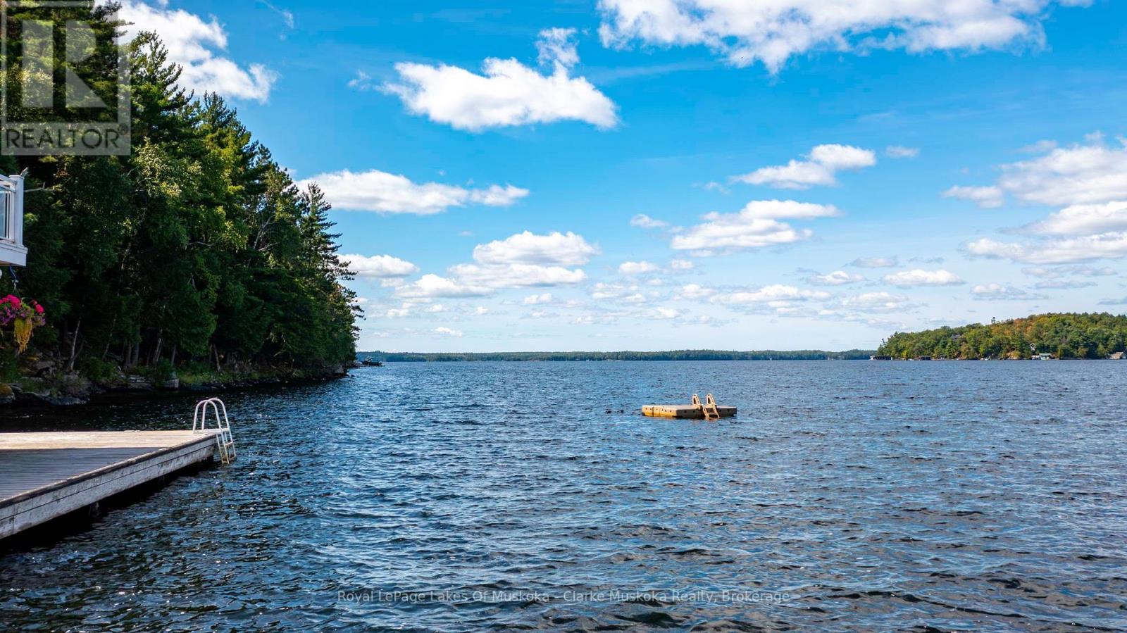 M81 PINE ISLAND #1 ISLAND - 46