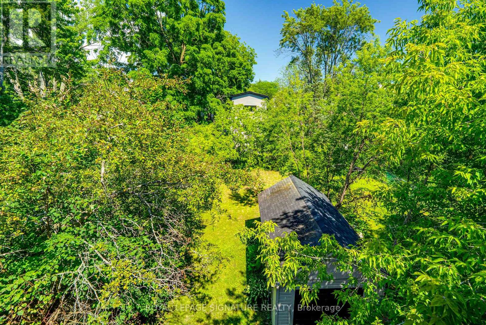 293 ALBERT STREET - 18