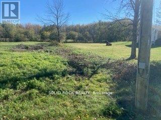 West neighbour kindly maintains 75 ft of lot : - )