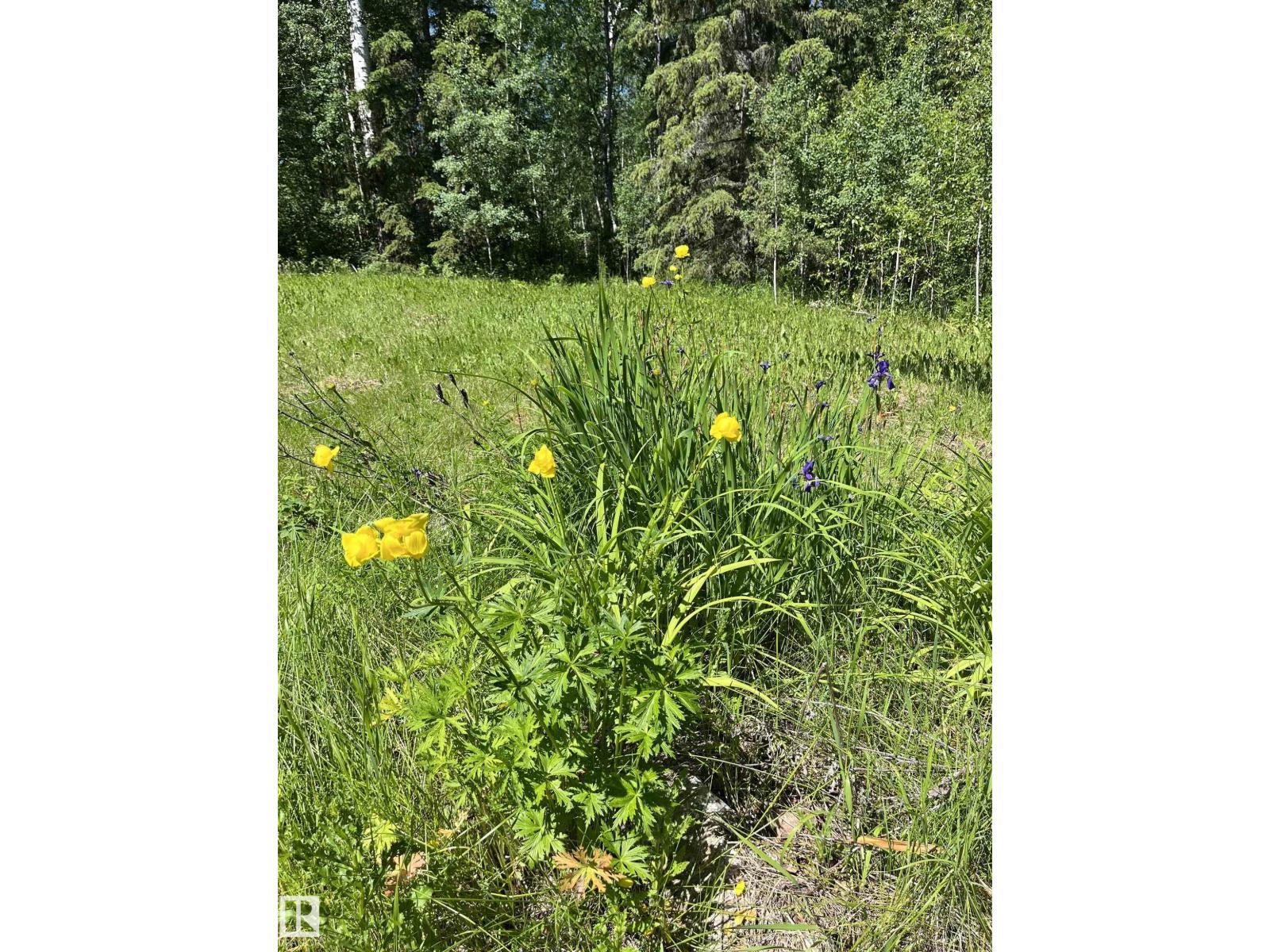 26 54104 Rge Rd 35 - Photo 9