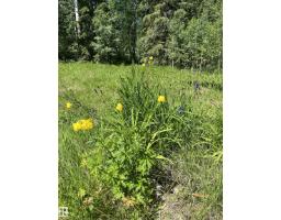 #26 54104 Rge Rd 35, Rural Lac Ste  Anne County, AB T0E0A1 Photo 9