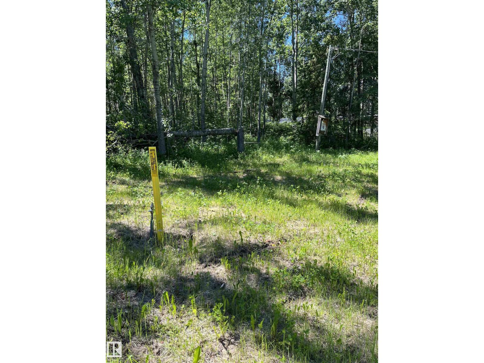 26 54104 Rge Rd 35 - Photo 7