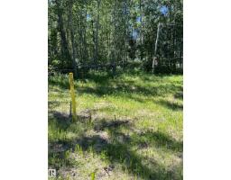 #26 54104 Rge Rd 35, Rural Lac Ste  Anne County, AB T0E0A1 Photo 7