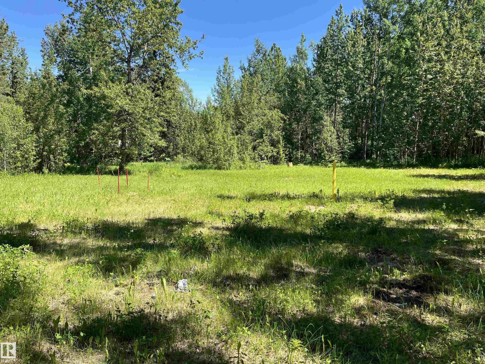 26 54104 Rge Rd 35 - Photo 8