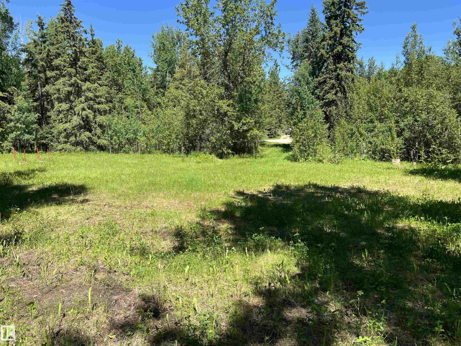 26 54104 Rge Rd 35 - Photo 10