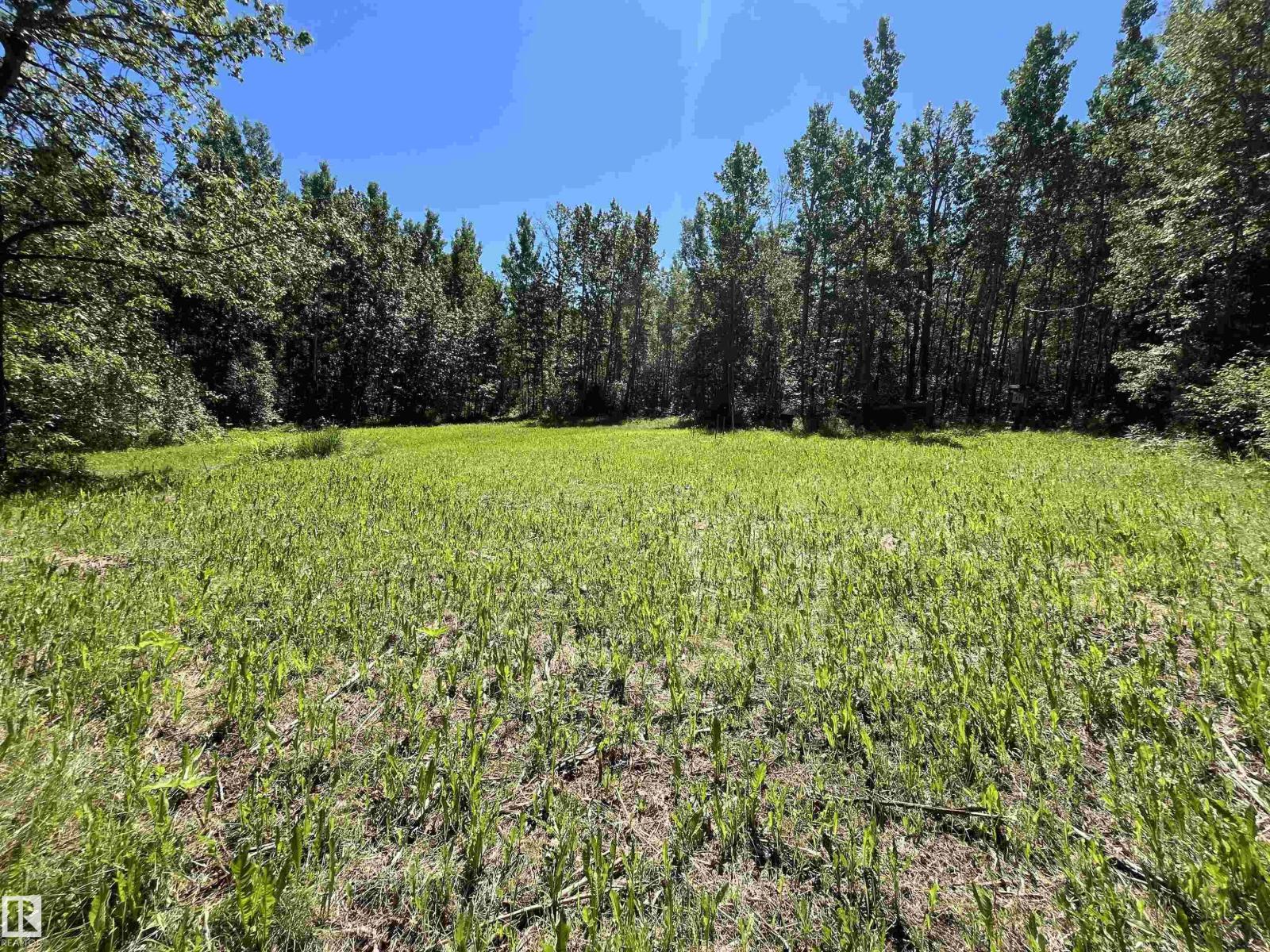 26 54104 Rge Rd 35 - Photo 5
