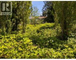 96 Cowichan Ave, Lake Cowichan, BC V0R2G0 Photo 6