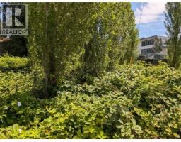 96 Cowichan Ave, Lake Cowichan, BC V0R2G0 Photo 7