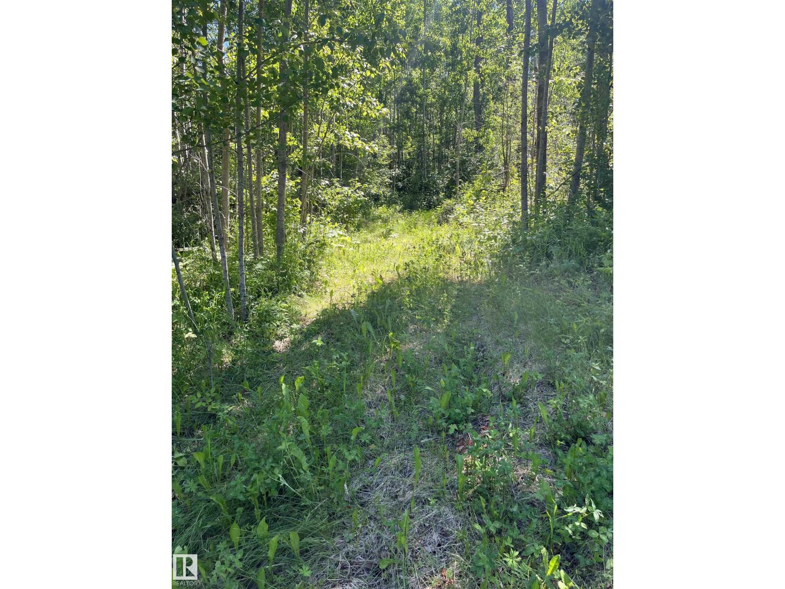 26 54104 Rge Rd 35 - Photo 12