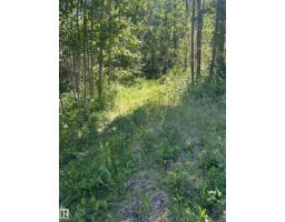 #26 54104 Rge Rd 35, Rural Lac Ste  Anne County, AB T0E0A1 Photo 12