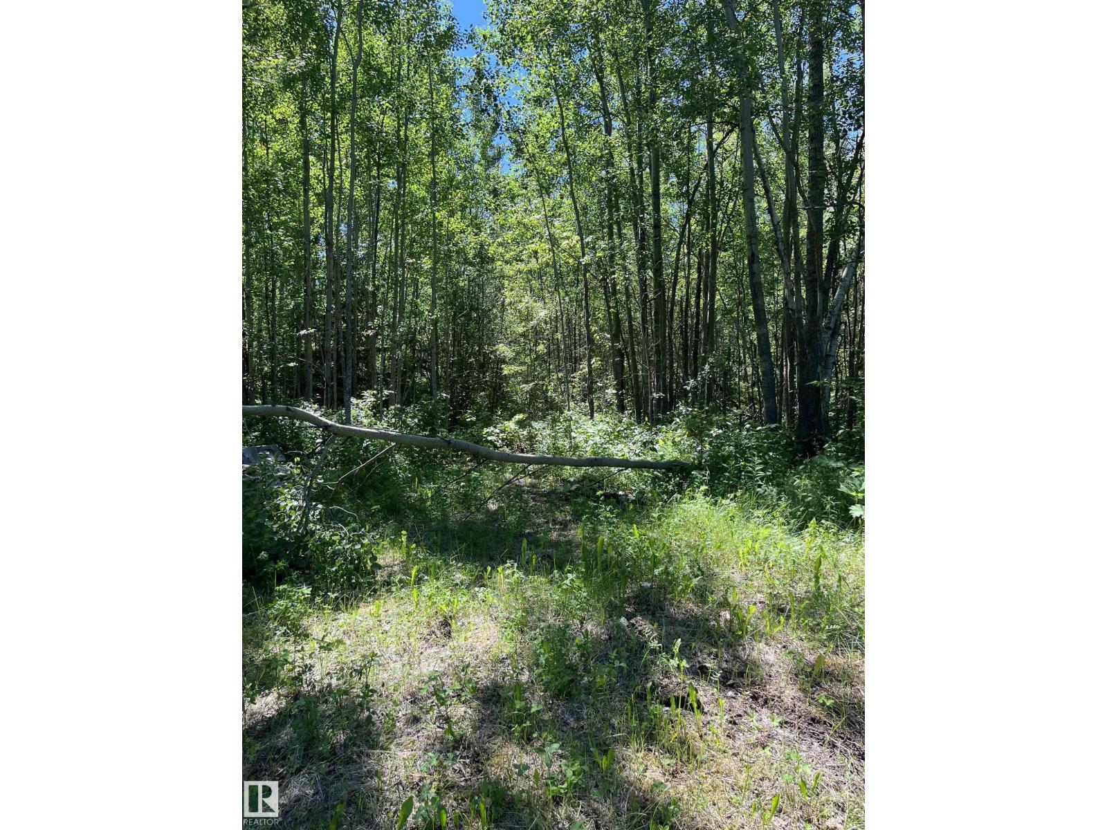 26 54104 Rge Rd 35 - Photo 11