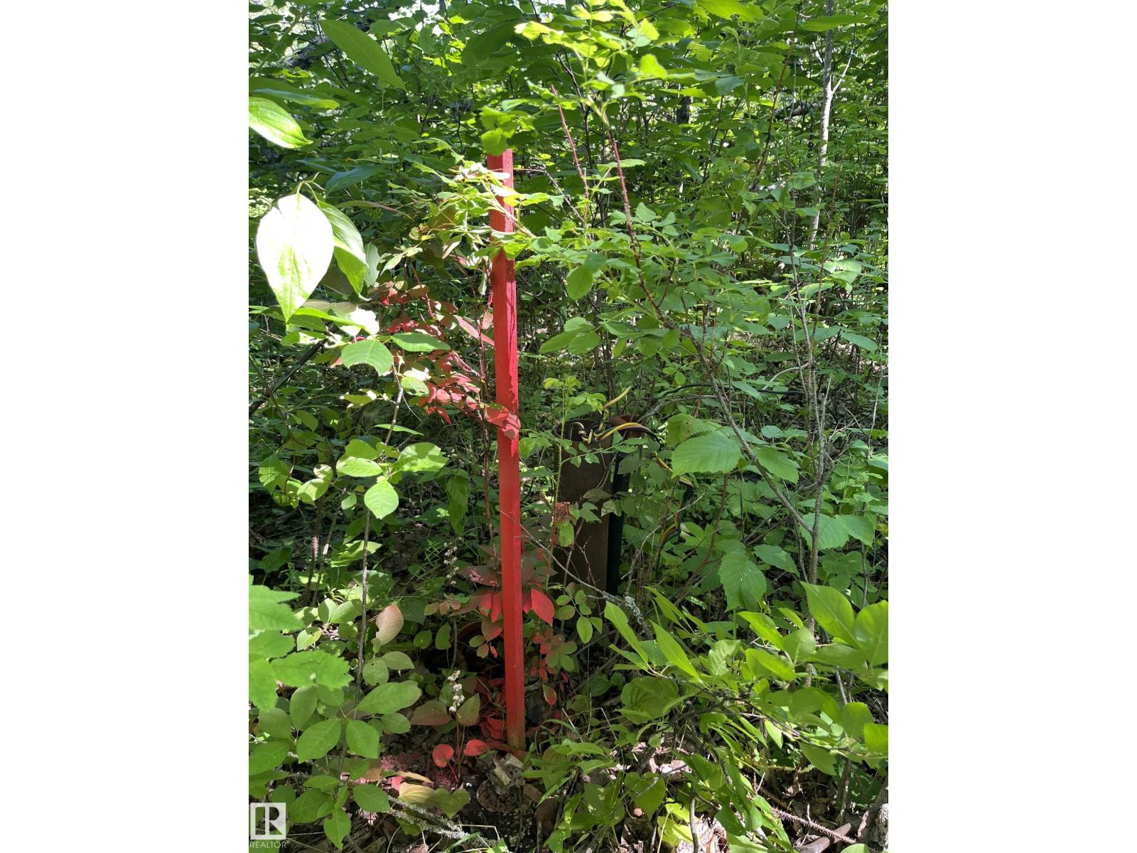 26 54104 Rge Rd 35 - Photo 13