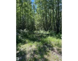#26 54104 Rge Rd 35, Rural Lac Ste  Anne County, AB T0E0A1 Photo 11