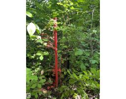 #26 54104 Rge Rd 35, Rural Lac Ste  Anne County, AB T0E0A1 Photo 13