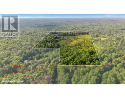 260 Loch Erne Road, Mcdougall, ON P2A2W7 Photo 7