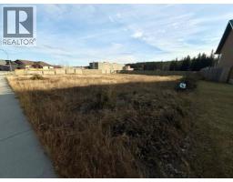 208 Trestle Place, Hinton, AB T7V0B8 Photo 7
