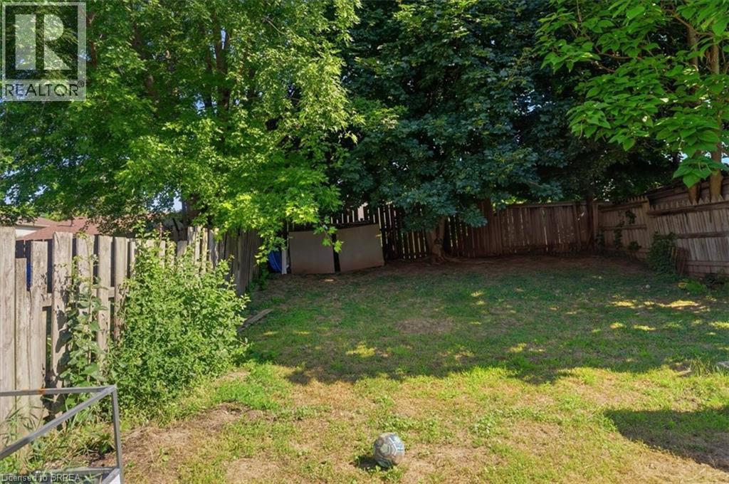 16 PALOMINO Drive - 40