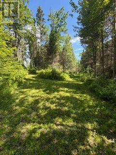 1856 PAPINEAU ROAD - 41