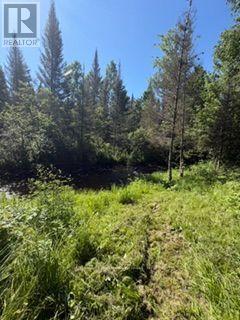 1856 PAPINEAU ROAD - 42