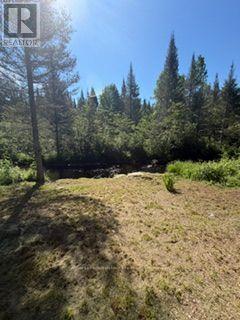 1856 PAPINEAU ROAD - 43