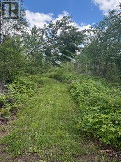 1856 PAPINEAU ROAD - 44