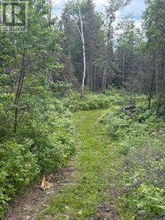 1856 PAPINEAU ROAD - 45