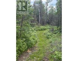 1856 Papineau Road, Papineau Cameron, ON P0H1V0 Photo 45