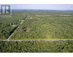 Lot 20 Concession 4 Road, Alfred And Plantagenet, ON K0B1L0 Photo 10